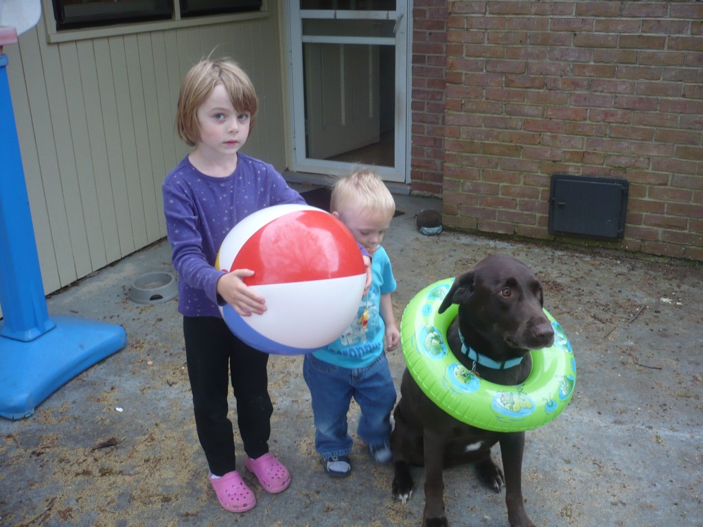 Dog, with swim ring